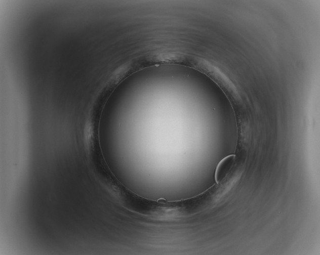 X0000101960260200807251200