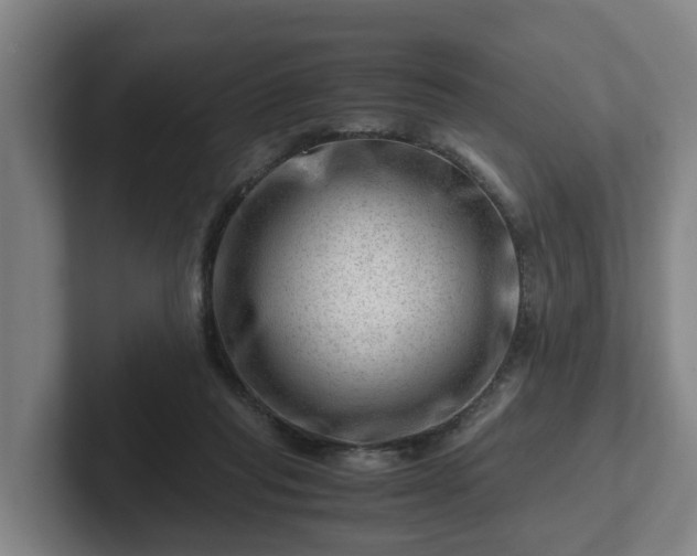 X0000101960261200807251200