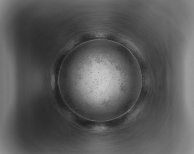 X0000101960262200807251200