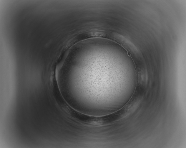 X0000101960263200807251200