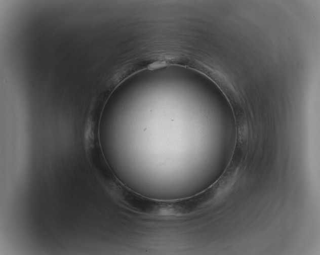 X0000101960264200807251200