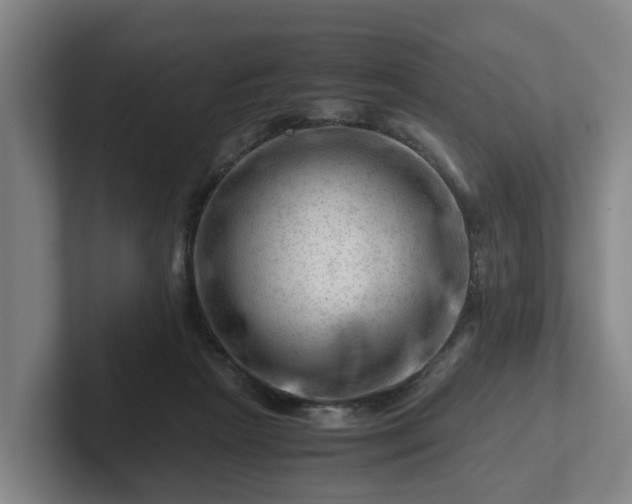 X0000101960265200807251200