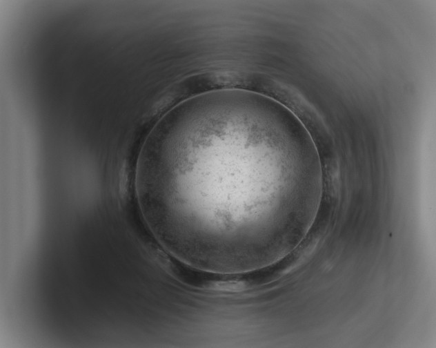 X0000101960266200807251200