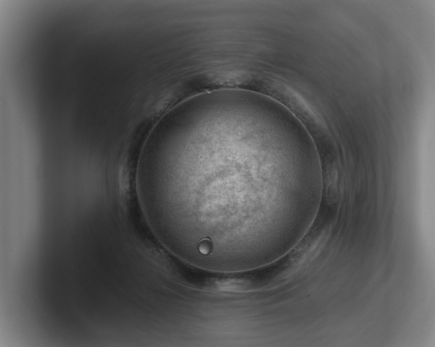 X0000101960268200807251200