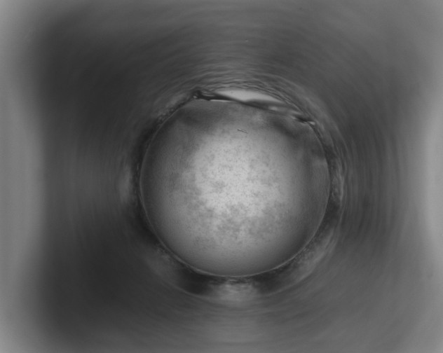 X0000101960270200807251200