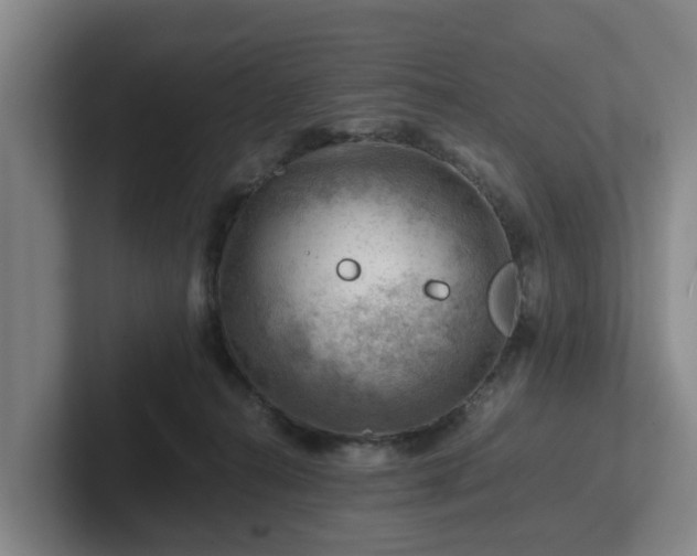 X0000101960272200807251200