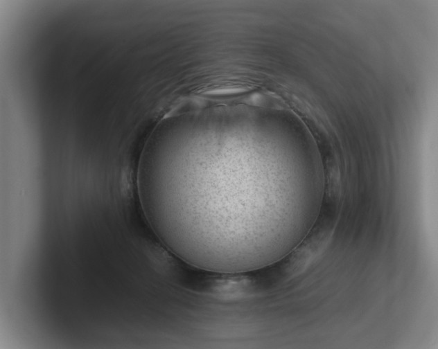 X0000101960274200807251200