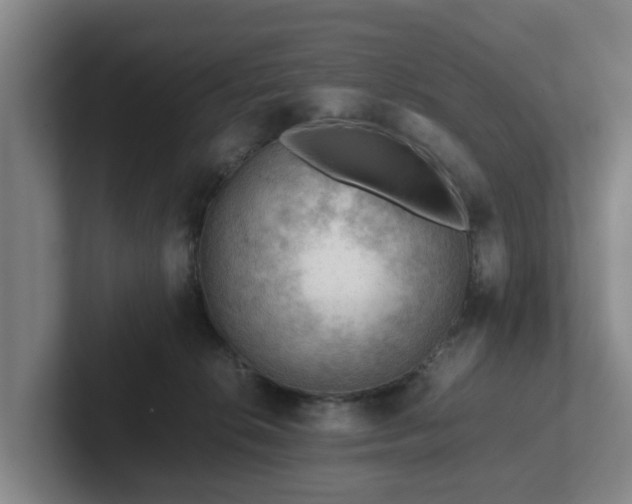 X0000101960276200807251200