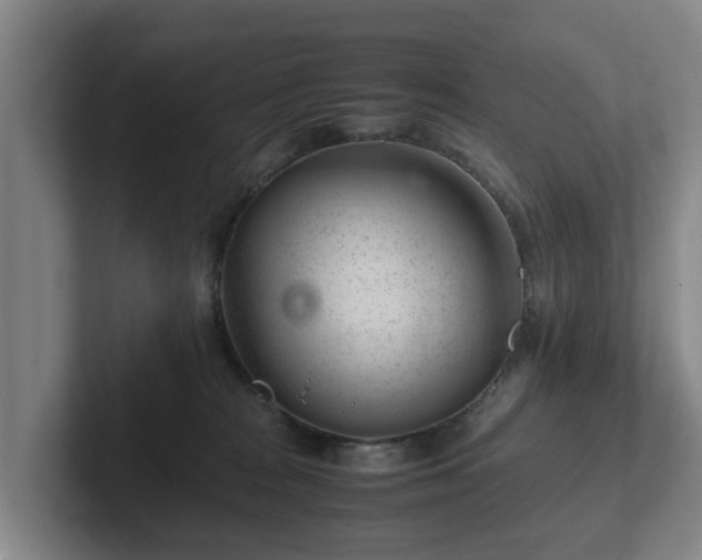 X0000101960277200807251200