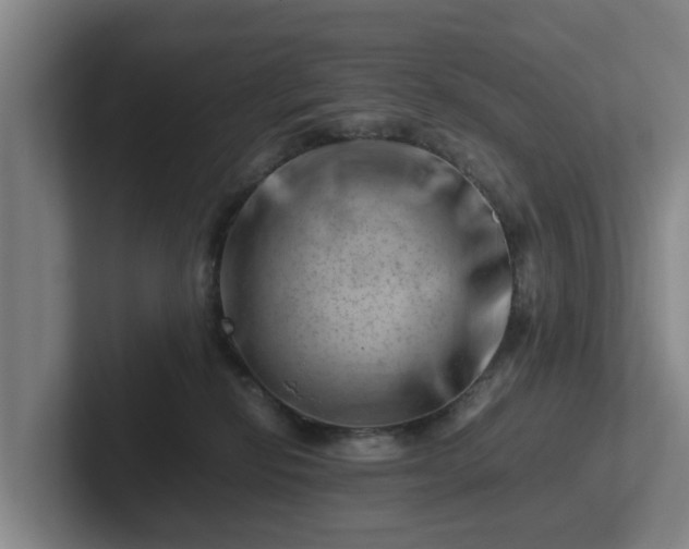 X0000101960278200807251200