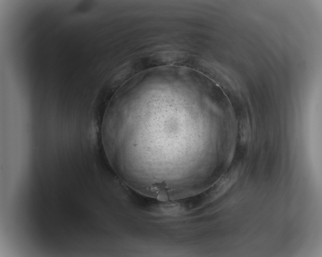 X0000101960279200807251201