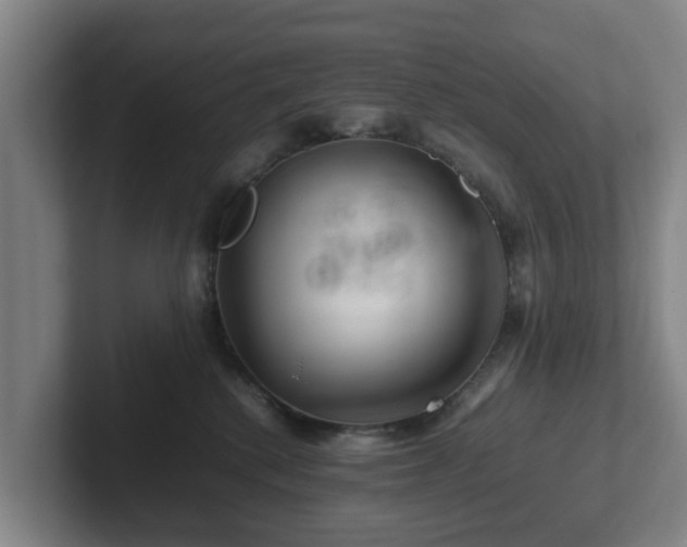 X0000101960280200807251201