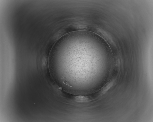 X0000101960281200807251201