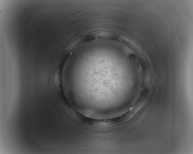 X0000101960282200807251201