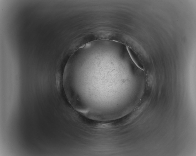 X0000101960283200807251201