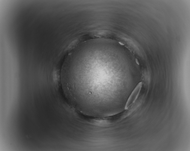 X0000101960284200807251201