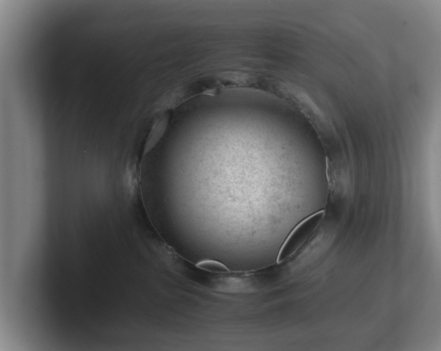 X0000101960285200807251201