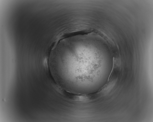 X0000101960286200807251201