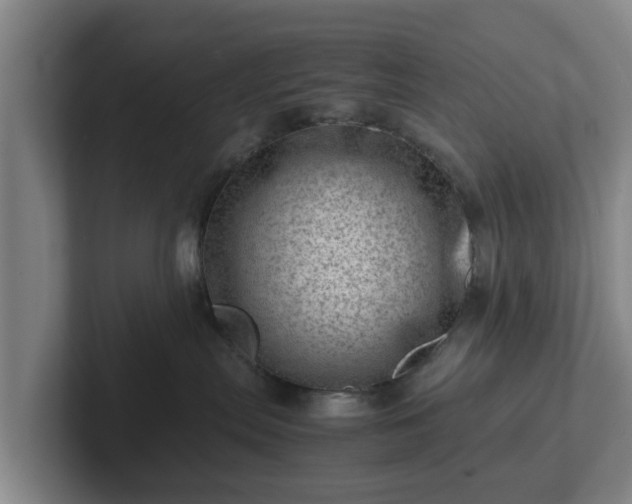 X0000101960287200807251201