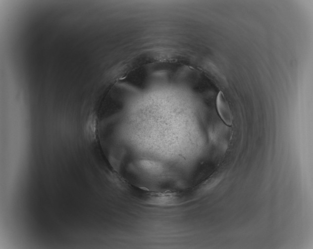 X0000101960288200807251201