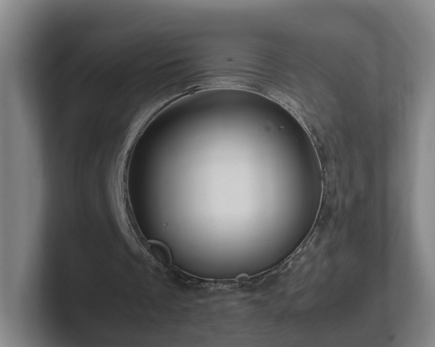 X0000101960289200807251200