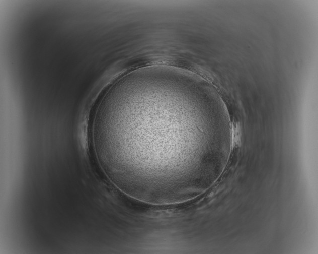 X0000101960291200807251200