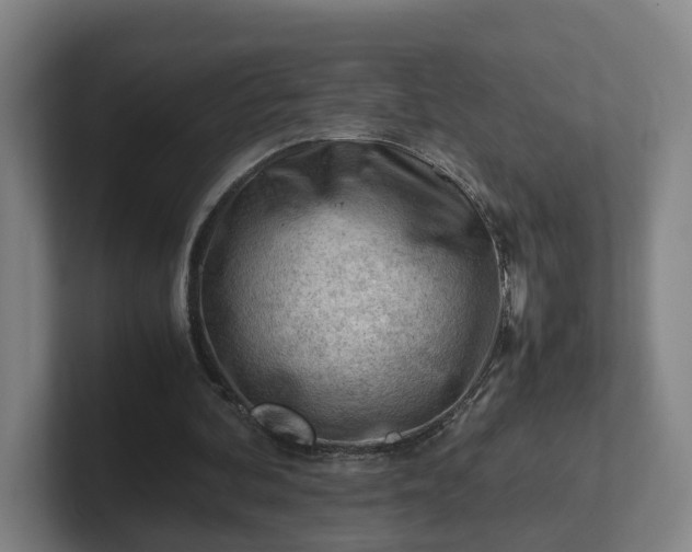 X0000101960292200807251200