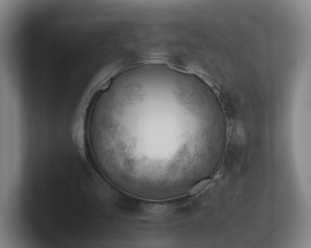 X0000101960293200807251200