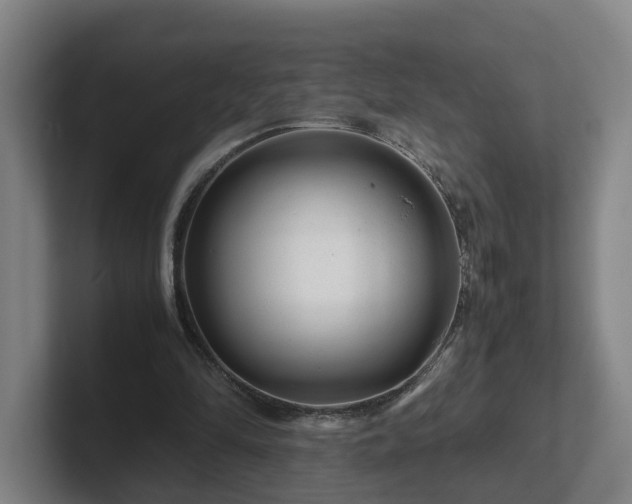 X0000101960294200807251200