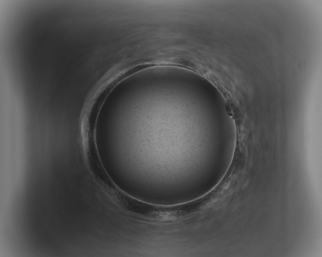 X0000101960295200807251200