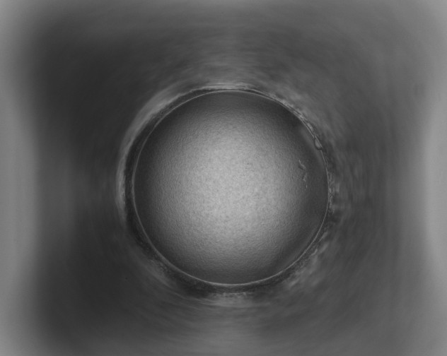 X0000101960296200807251200