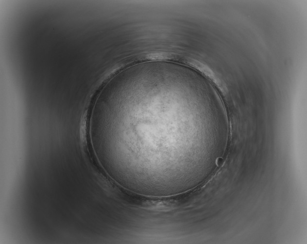 X0000101960297200807251200