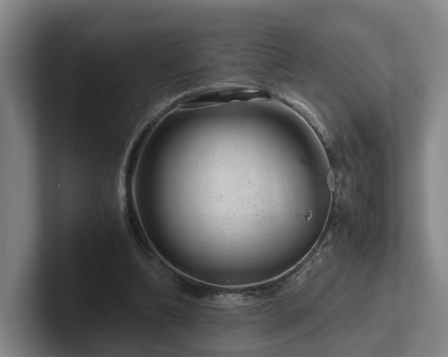 X0000101960298200807251200