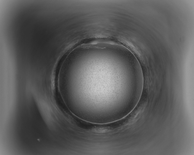 X0000101960299200807251200