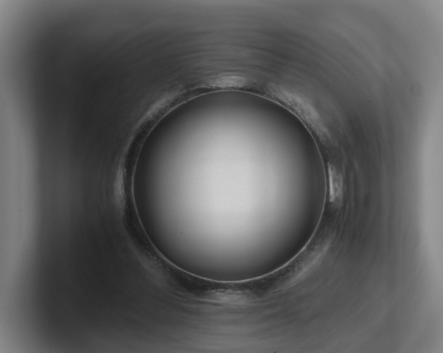 X0000101960300200807251200