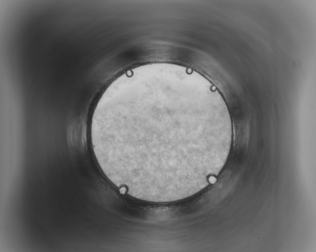 X0000101960301200807251200