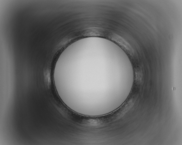 X0000101960302200807251200