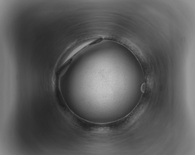 X0000101960304200807251200