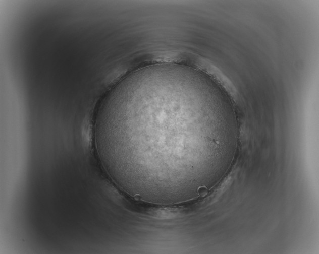 X0000101960305200807251200