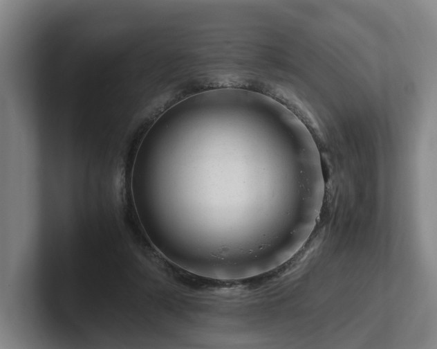 X0000101960306200807251200