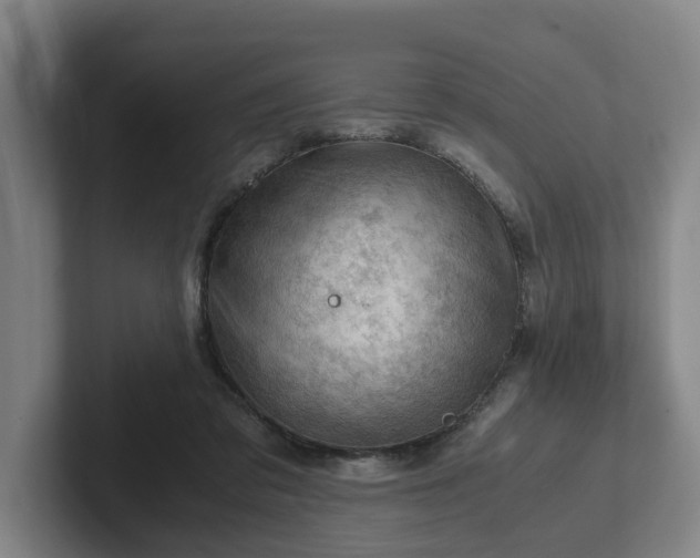 X0000101960309200807251200