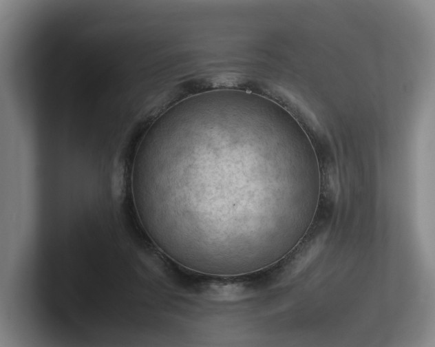 X0000101960311200807251200