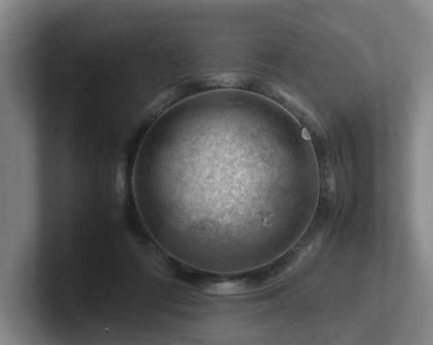 X0000101960312200807251200