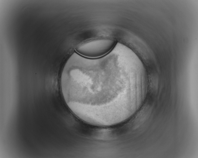 X0000101960313200807251200