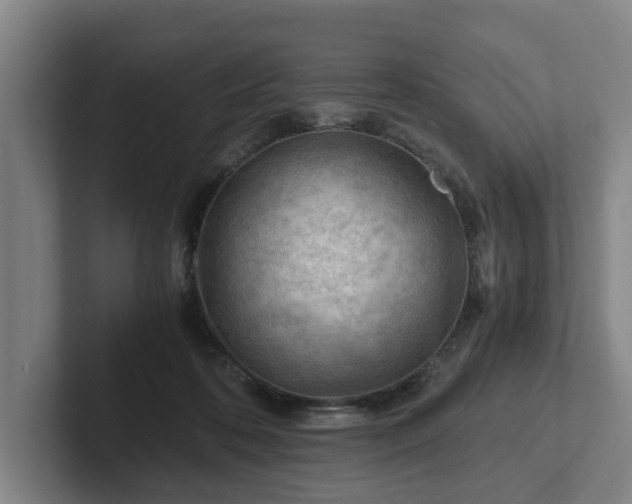 X0000101960316200807251200