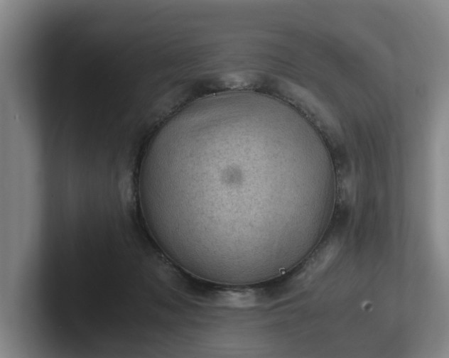 X0000101960317200807251200