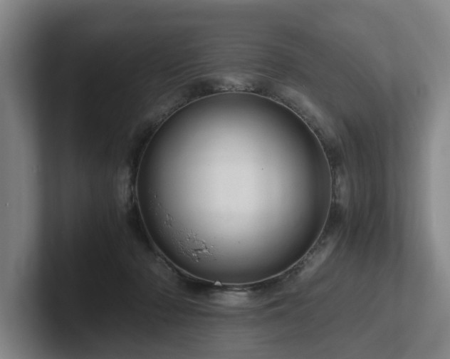 X0000101960318200807251200