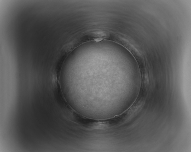 X0000101960320200807251159