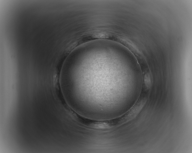 X0000101960322200807251159