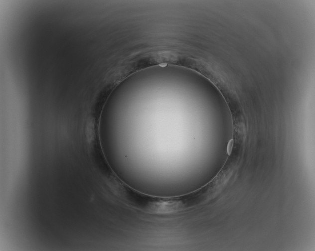 X0000101960323200807251159